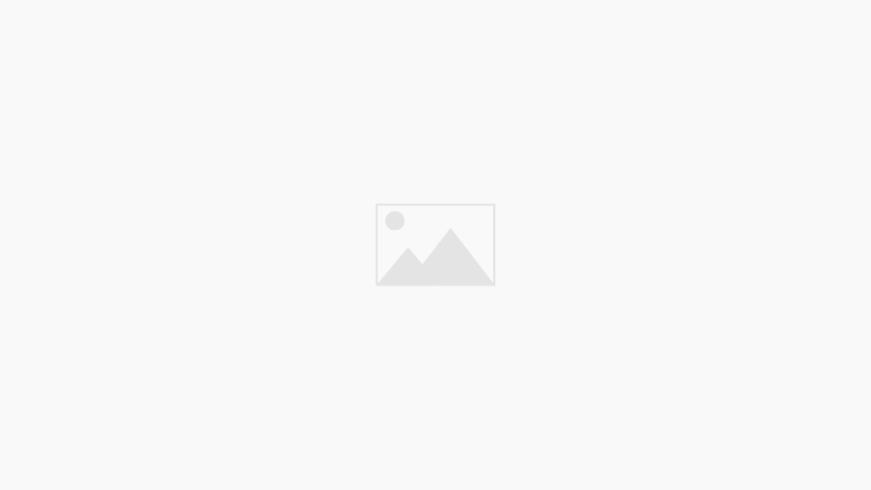 Résultats du DNB et orientation des élèves de 3°