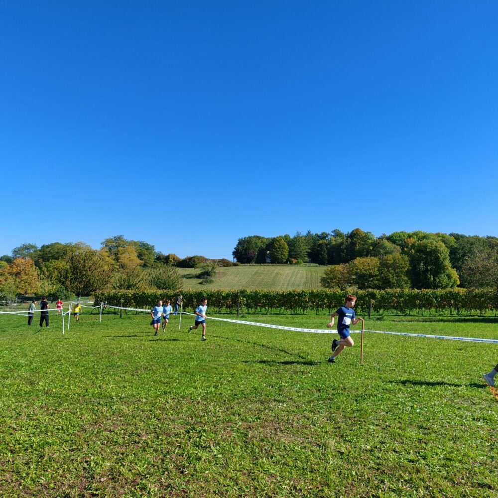 1000019806 1000019806