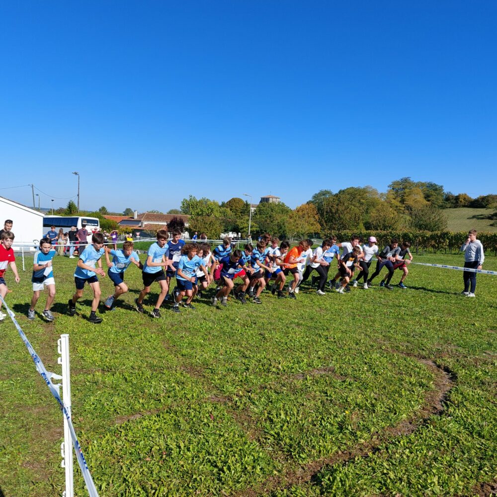 1000019808 1000019808