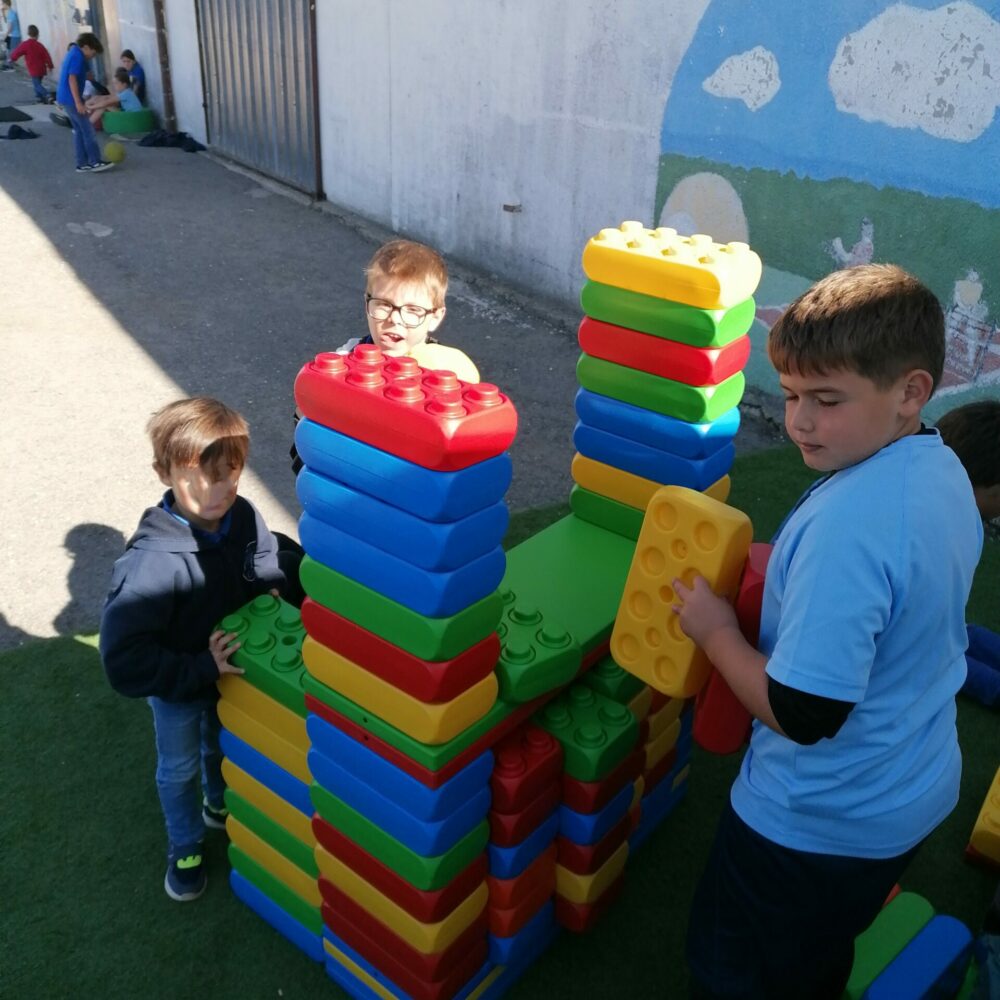 IMG_20251006_125033 IMG_20251006_125033