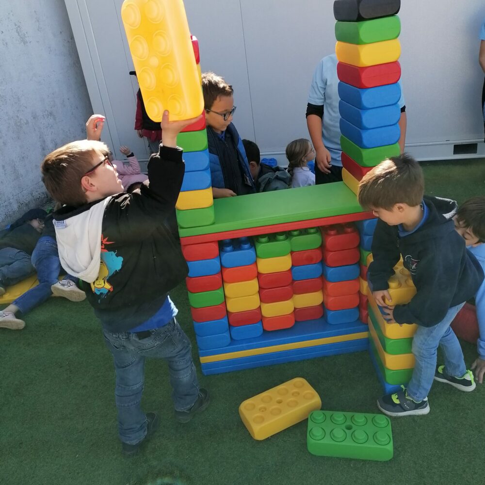 IMG_20251006_125051 IMG_20251006_125051