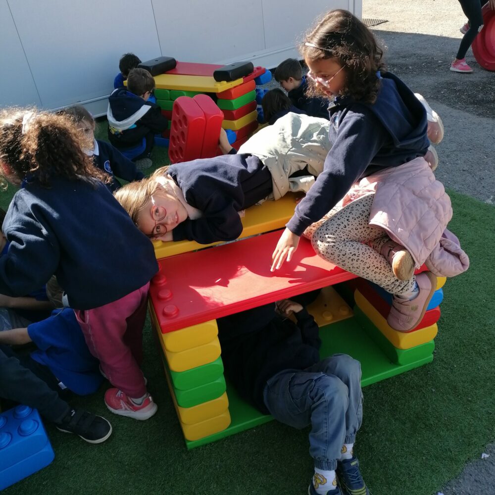 IMG_20251007_125317 IMG_20251007_125317