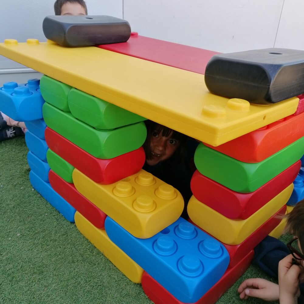 IMG_20251007_125341 IMG_20251007_125341