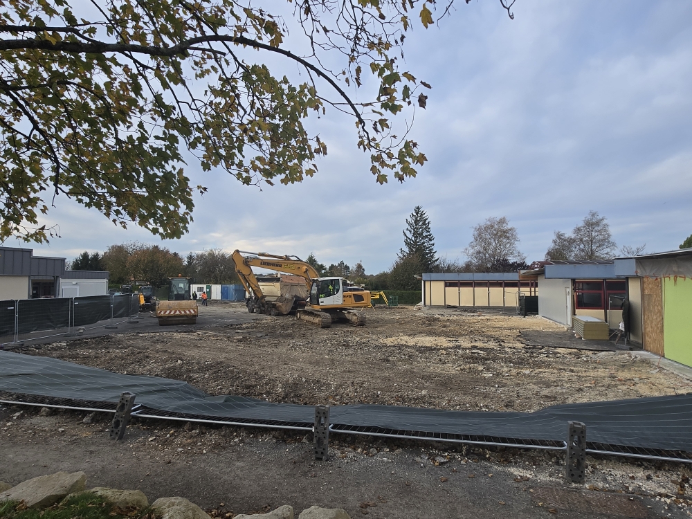 20251112_084501 20251112_084501