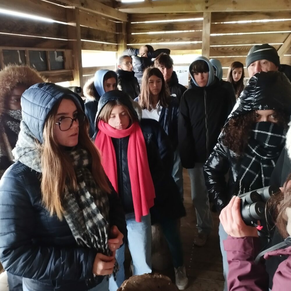 IMG_20251127_113445 IMG_20251127_113445