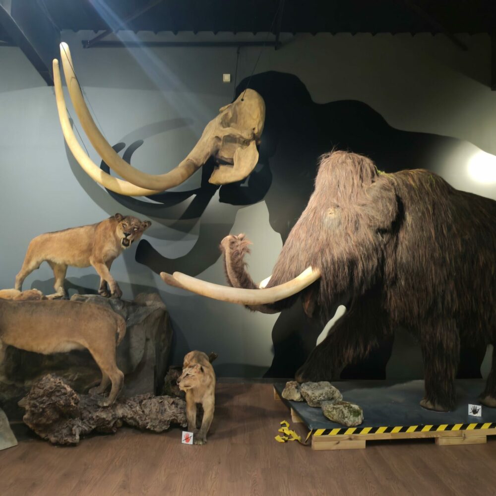 pro-o7yeR8qK pro-o7yeR8qK