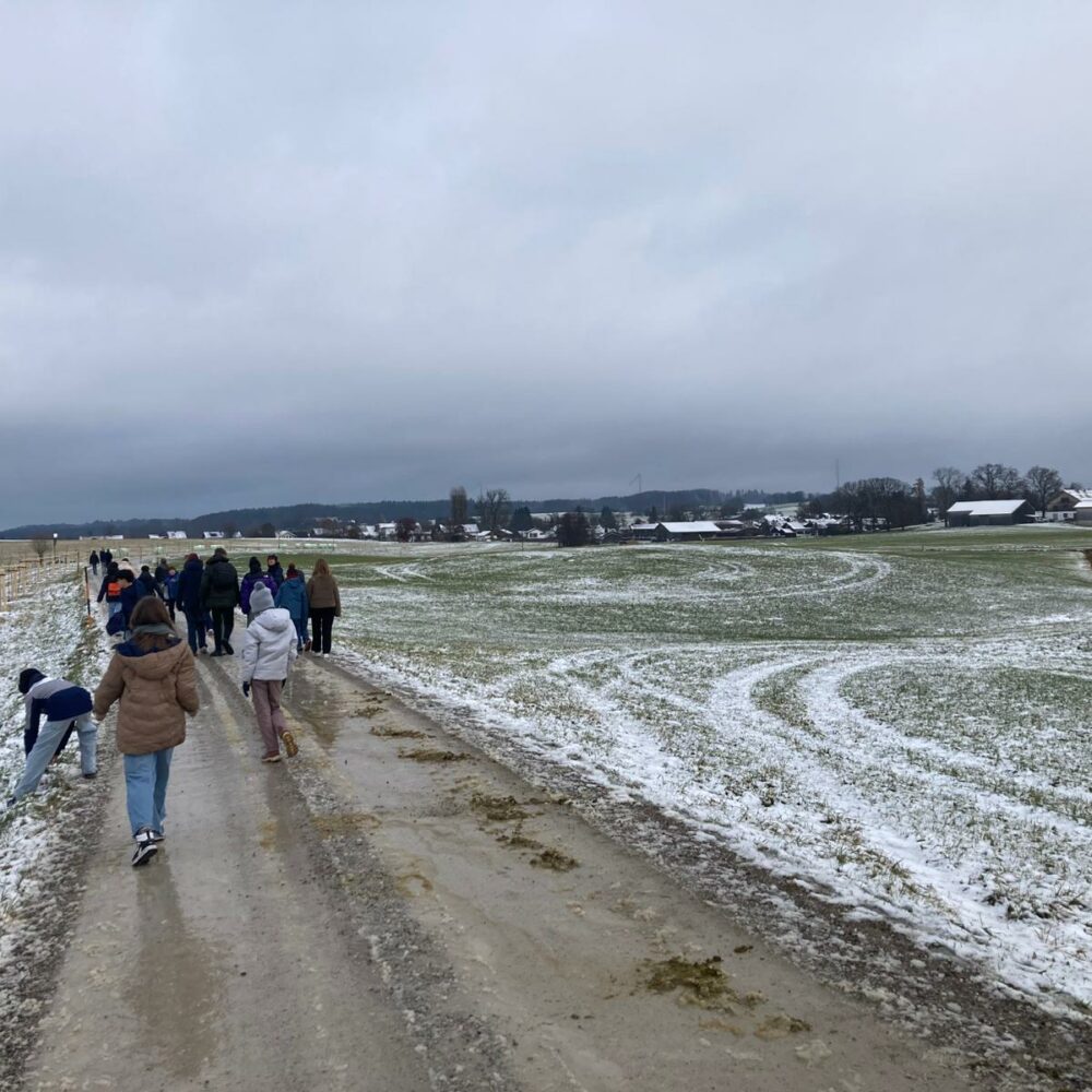 5daa4d22-ad57-4365-9157-c6ab11c5f345