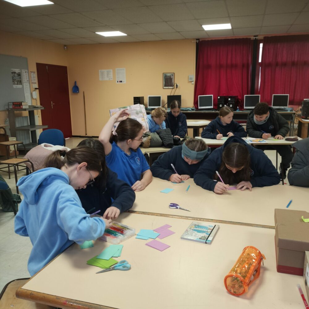 IMG20251205123919 IMG20251205123919