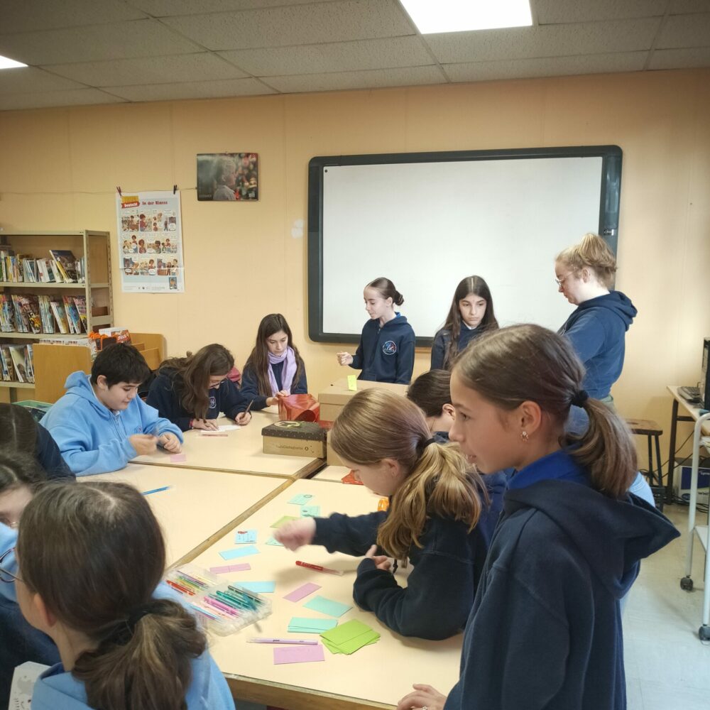 IMG20251205124355 IMG20251205124355