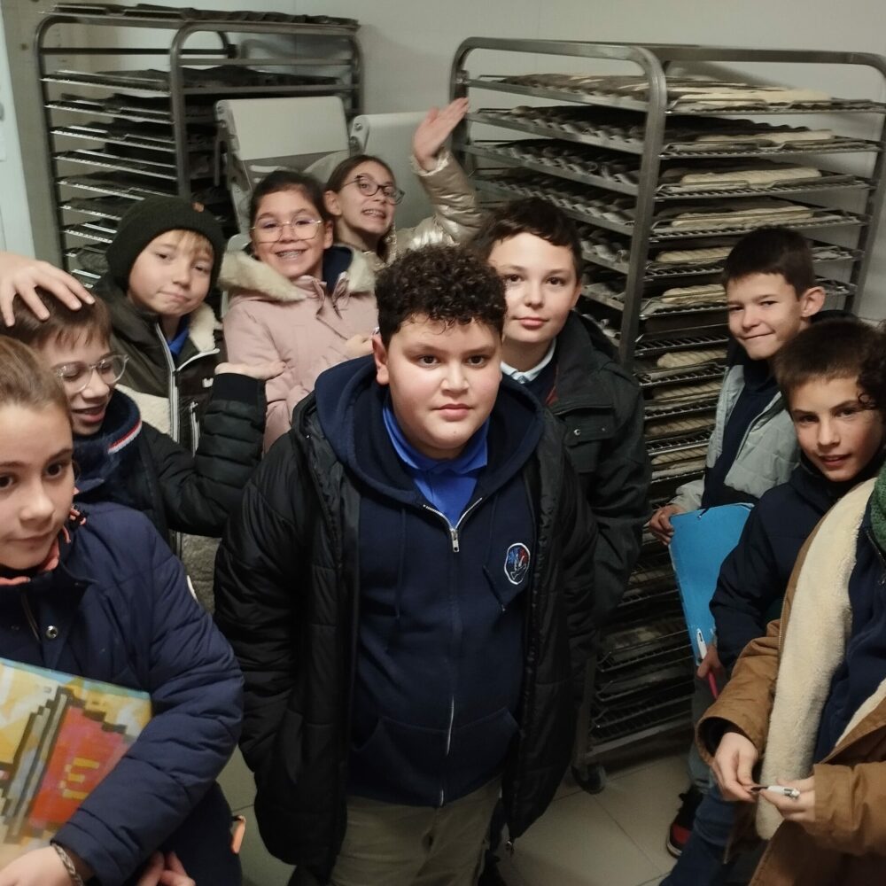 IMG_20251211_090431 IMG_20251211_090431