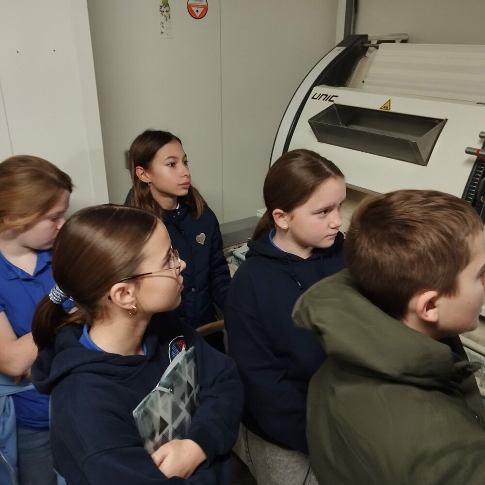 IMG_20251211_092153 IMG_20251211_092153