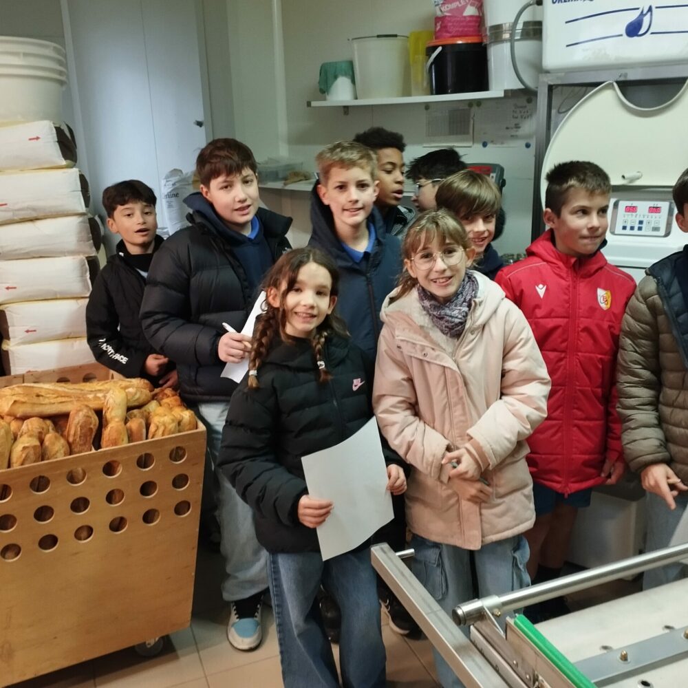 IMG_20251211_104756 IMG_20251211_104756