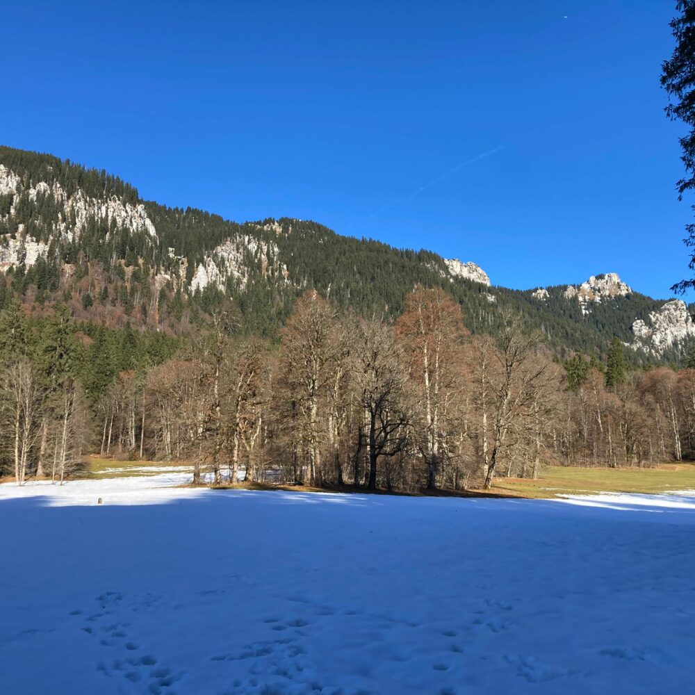 WhatsApp Image 2025-12-10 at 11.37.04 (1)