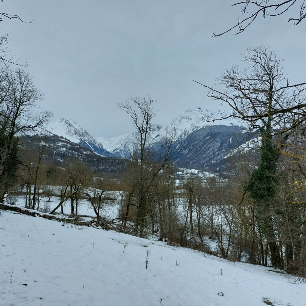 0f560f93-1919-442e-8eef-d6b307318944