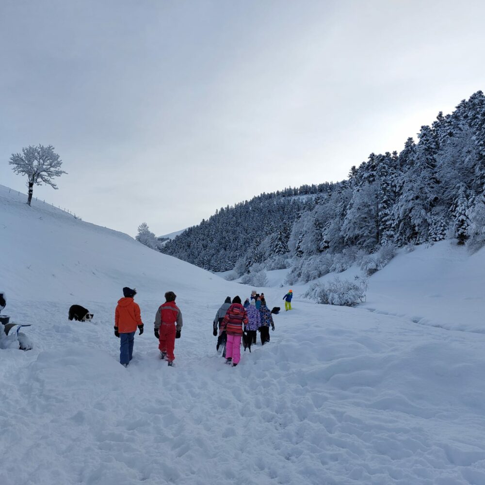 1e4b1e8d-af14-4576-9b49-a9a85915fb35 1e4b1e8d-af14-4576-9b49-a9a85915fb35