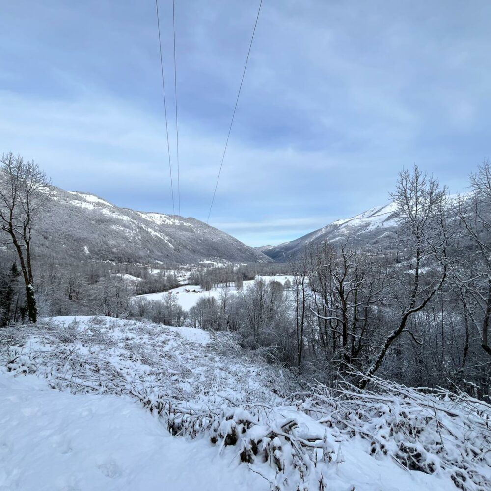 2b60a20f-ebfd-478a-98e0-d4a054f9a7aa 2b60a20f-ebfd-478a-98e0-d4a054f9a7aa