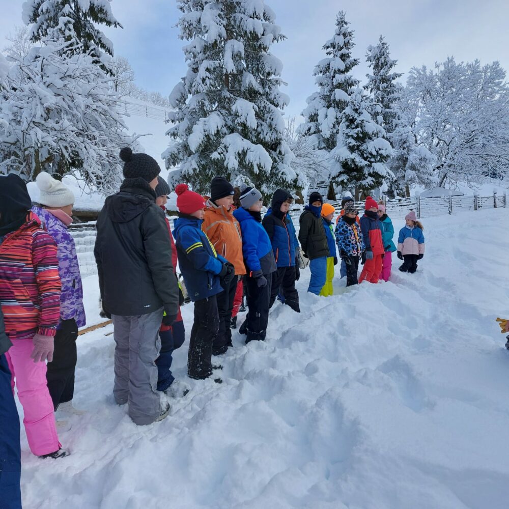 30b942f3-197d-45fe-963f-099cc4930a4f 30b942f3-197d-45fe-963f-099cc4930a4f