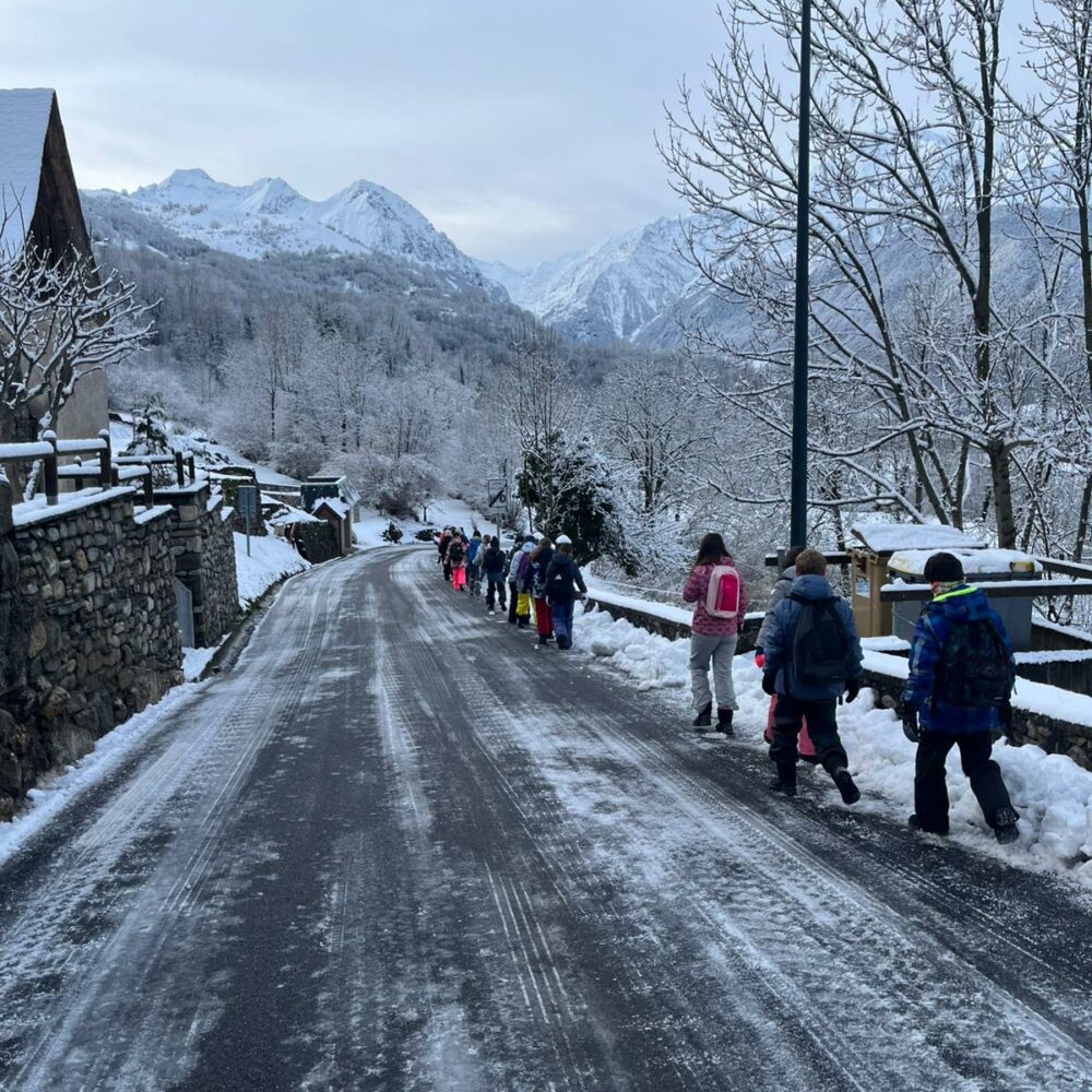 4c9f8d62-501f-42b0-ba5d-6e682eab715c 4c9f8d62-501f-42b0-ba5d-6e682eab715c