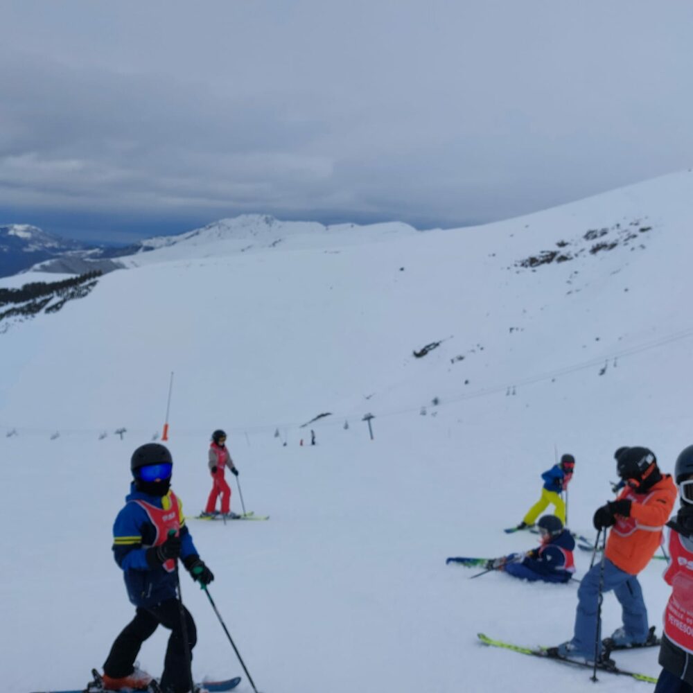 53aef804-8b8f-4dcf-82aa-906773608601