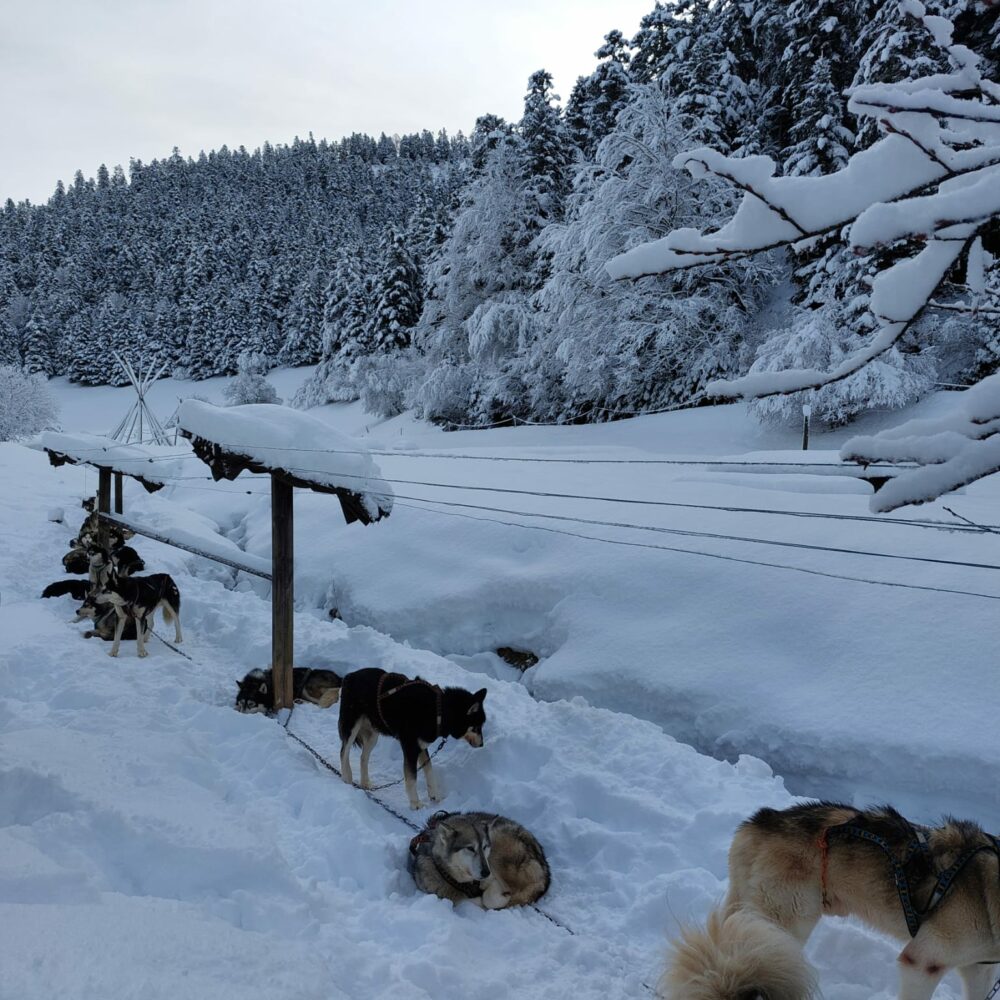 5b16f8a8-82cd-41f1-aba6-bed59839e94d 5b16f8a8-82cd-41f1-aba6-bed59839e94d