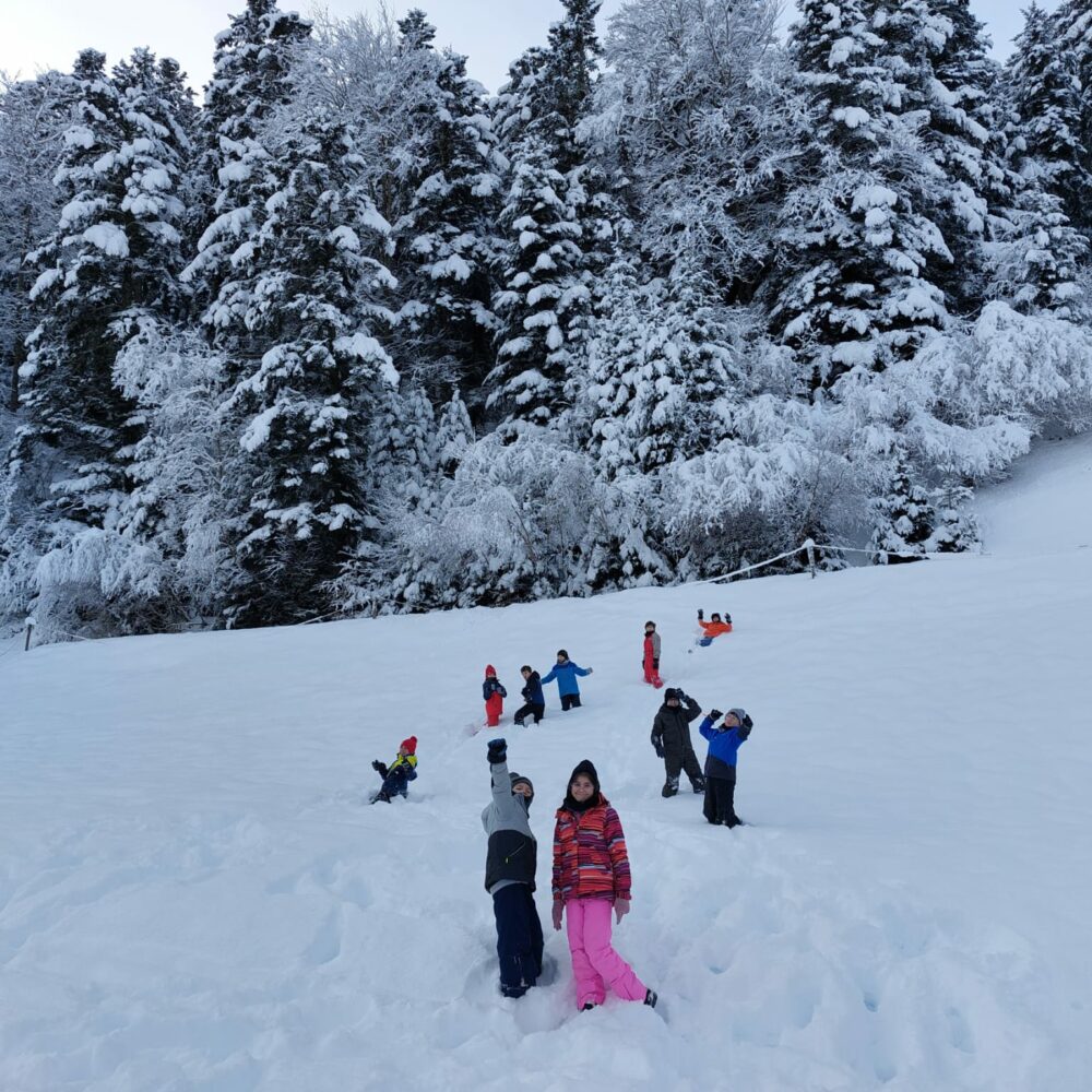 71951fe0-0d16-40c6-aa6e-28ba42e176b6 71951fe0-0d16-40c6-aa6e-28ba42e176b6