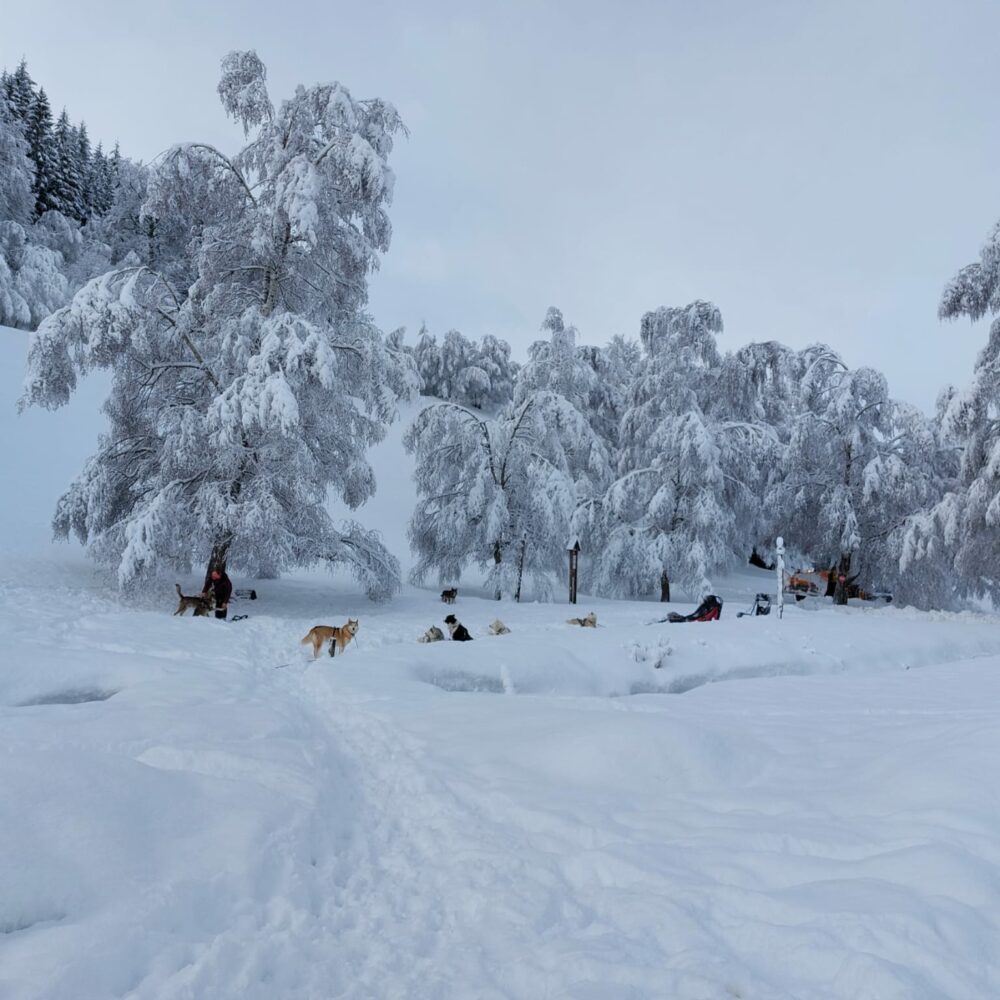 727859a7-5c8a-492e-97fe-21e0983d9500 727859a7-5c8a-492e-97fe-21e0983d9500