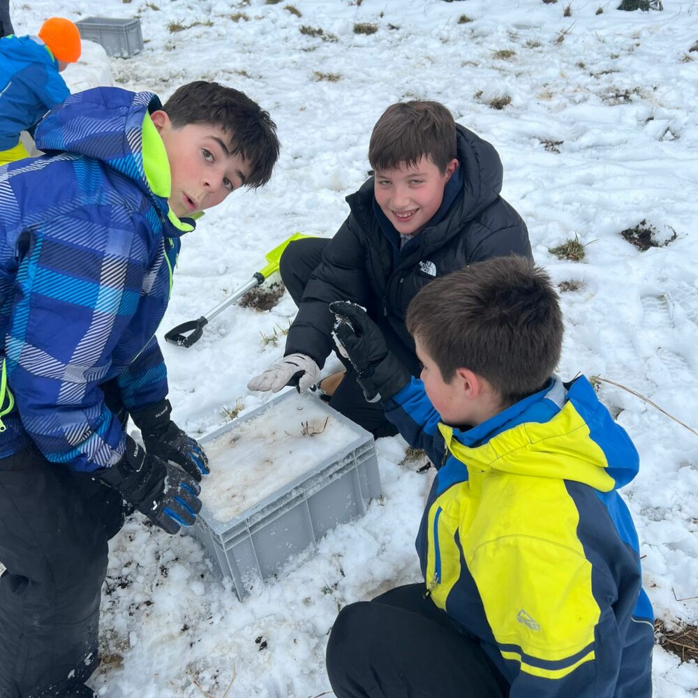 7dadd0e5-088f-44b9-bba2-4bd6b5c54042