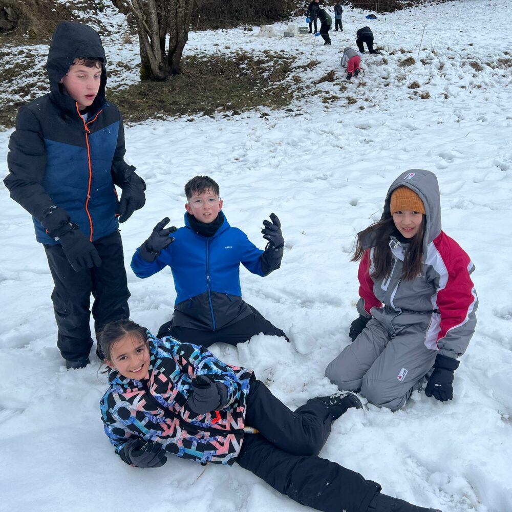 811626df-75d5-4824-a650-cd333bbb7216