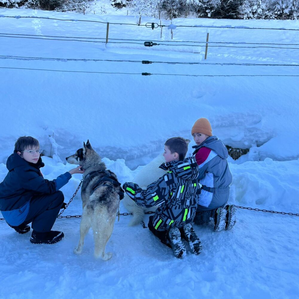 84f96355-120b-4d65-bbe9-9e778d60c3ec 84f96355-120b-4d65-bbe9-9e778d60c3ec