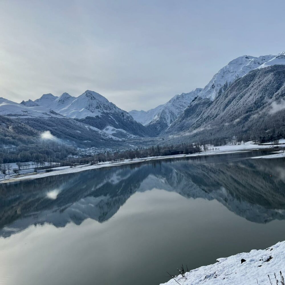 8679ebbd-d755-45fa-8974-7d671214902c 8679ebbd-d755-45fa-8974-7d671214902c