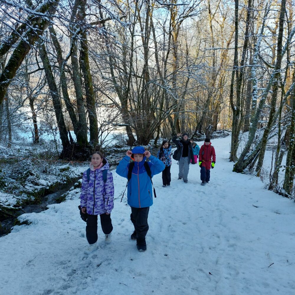 c5bdcb4c-9ff6-4822-a2c9-974351980688 c5bdcb4c-9ff6-4822-a2c9-974351980688