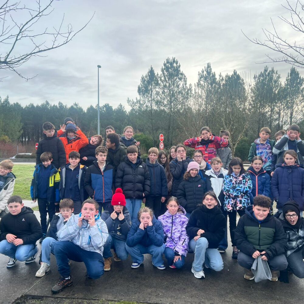 de012d6d-4bba-459e-9fa3-c72b11c25a5b