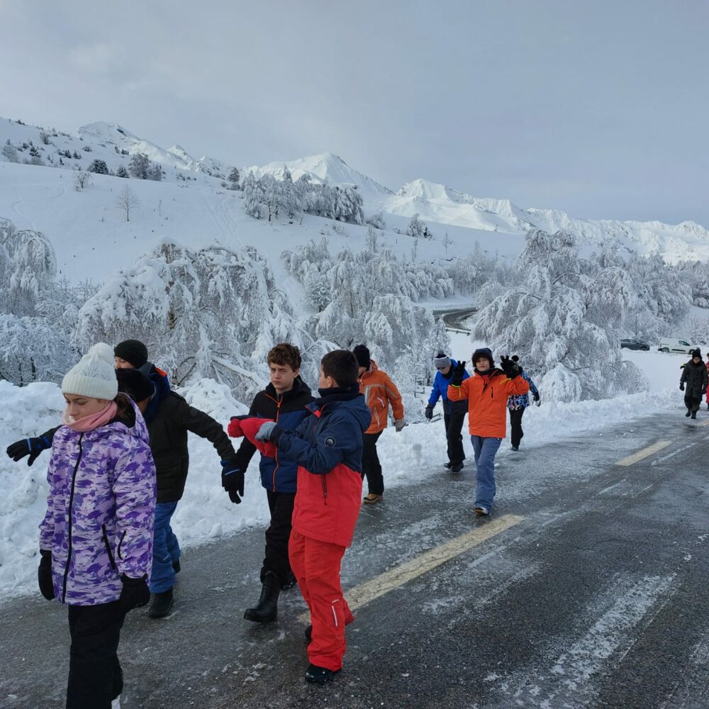 e3b9bd31-26d4-4c60-bb93-43c1dc69becc e3b9bd31-26d4-4c60-bb93-43c1dc69becc