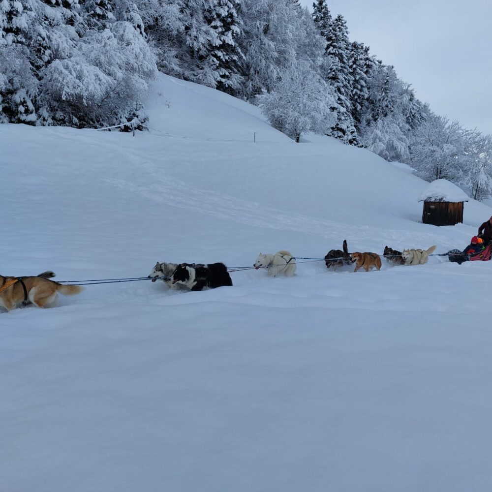 ef8139ae-98e5-44ae-81d6-a8f552d7dc1e ef8139ae-98e5-44ae-81d6-a8f552d7dc1e