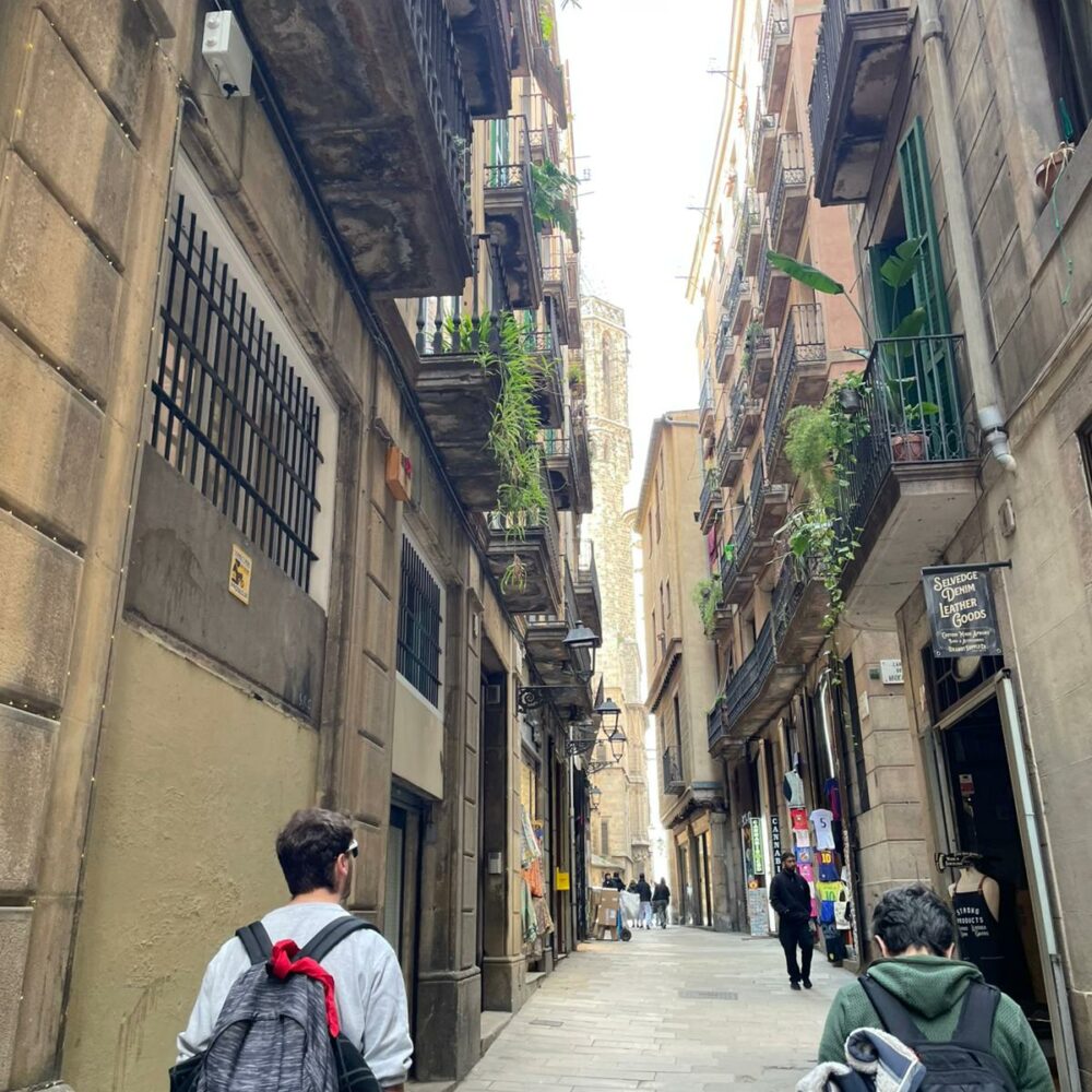 25211137-c93c-4a1d-89d8-e6dd052e5f15 25211137-c93c-4a1d-89d8-e6dd052e5f15