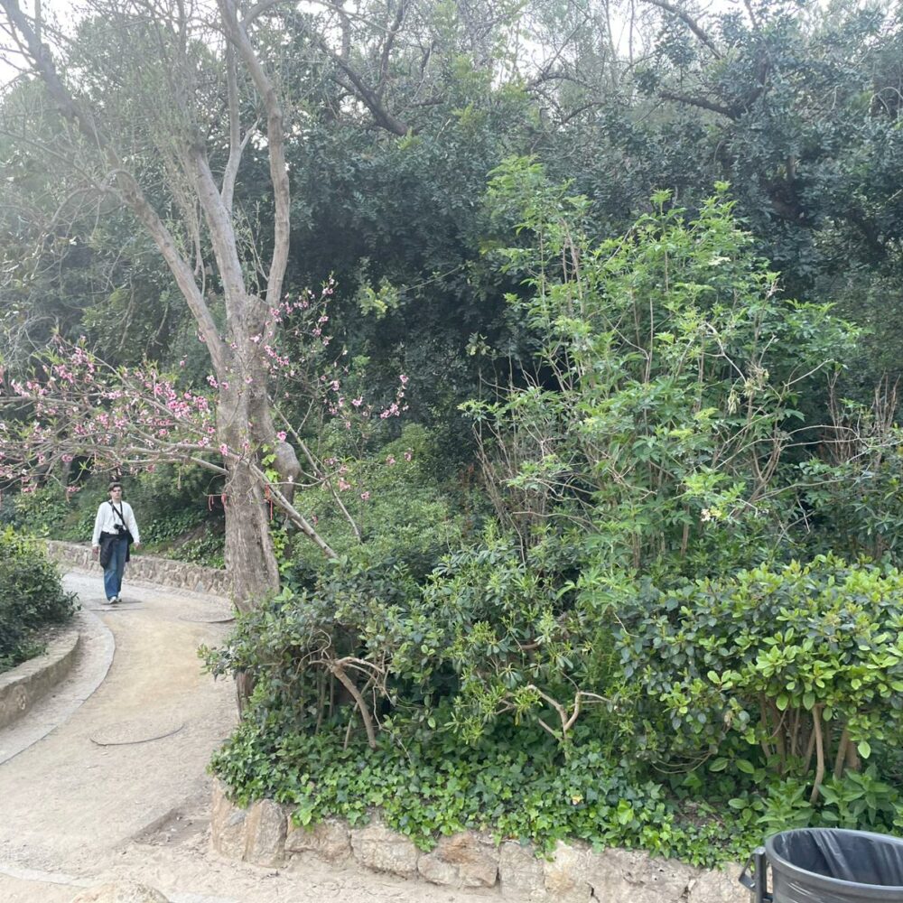 ae5f18b0-45e2-43e8-b5b0-b60fabec4919 ae5f18b0-45e2-43e8-b5b0-b60fabec4919