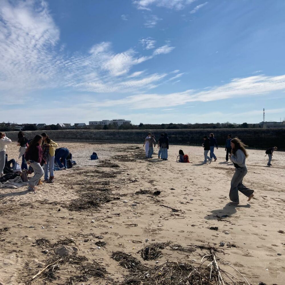 b4709839-b88b-44d2-855e-8b0ecf980883 b4709839-b88b-44d2-855e-8b0ecf980883