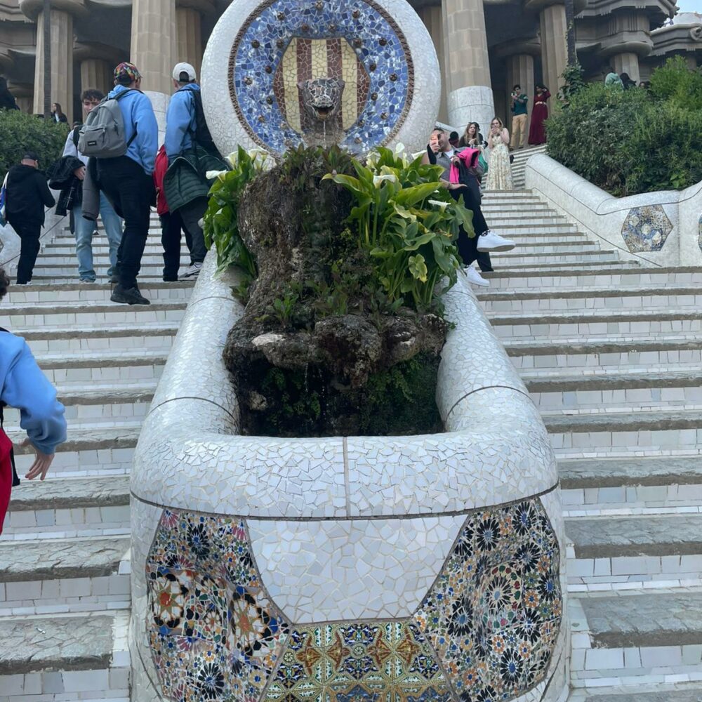 c58a3ae2-82c4-4b9f-8d2a-2bf4e9d5d383 c58a3ae2-82c4-4b9f-8d2a-2bf4e9d5d383