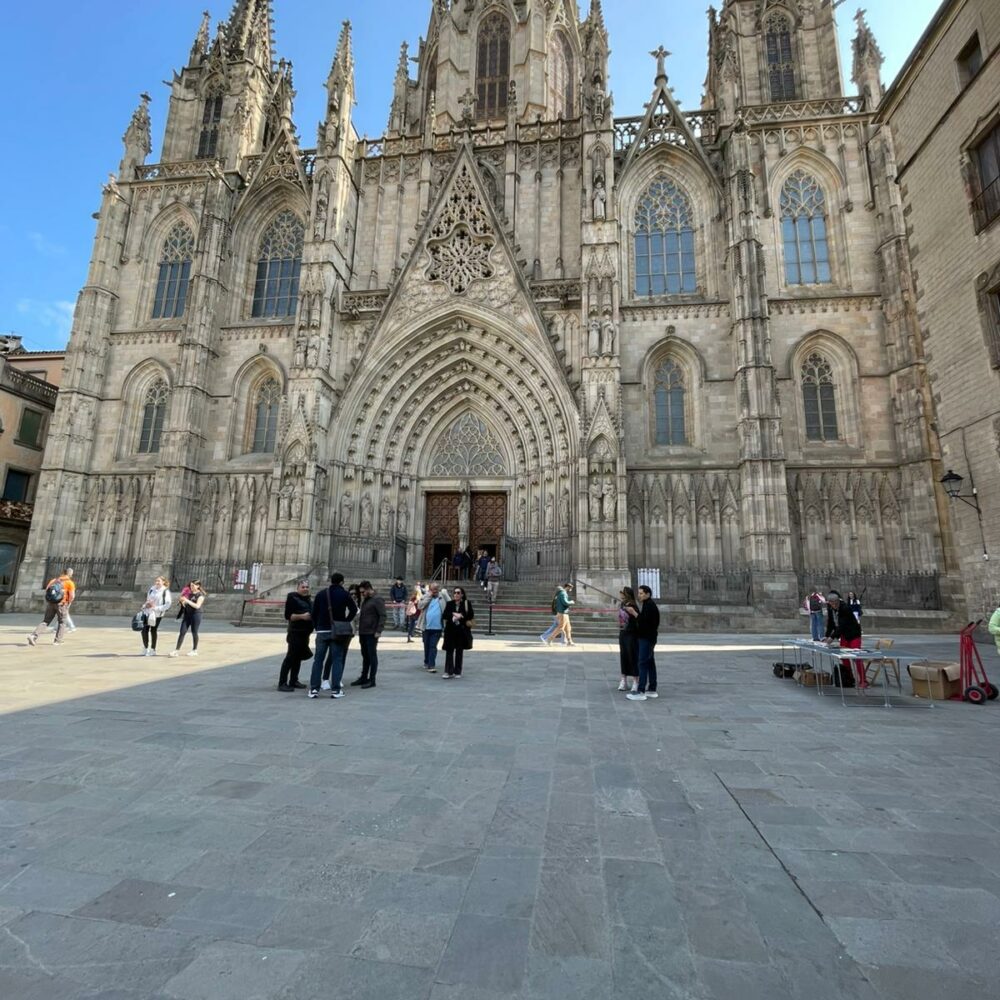 df507d0c-96ce-4405-a3b8-e488138bcee5 df507d0c-96ce-4405-a3b8-e488138bcee5