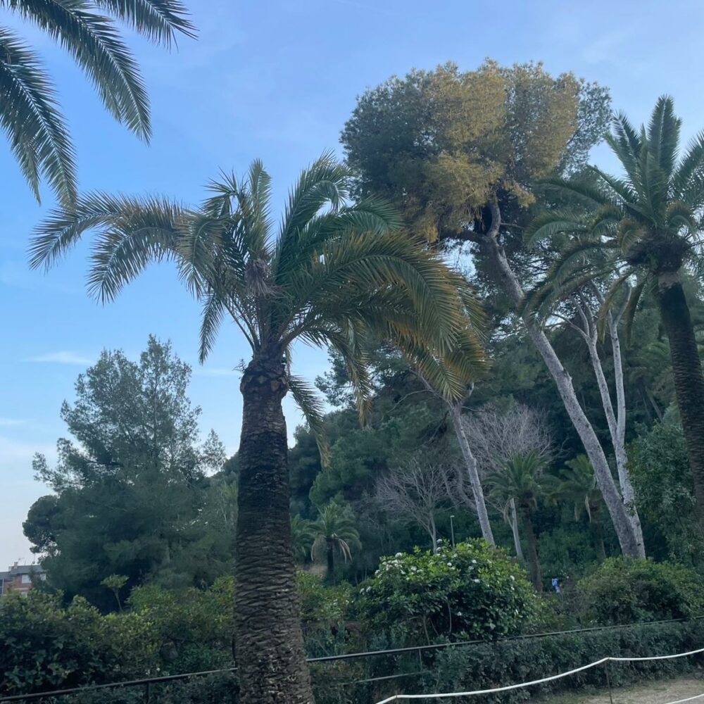 fda4782f-a5b6-4fbc-a003-03bfbdc55685 fda4782f-a5b6-4fbc-a003-03bfbdc55685